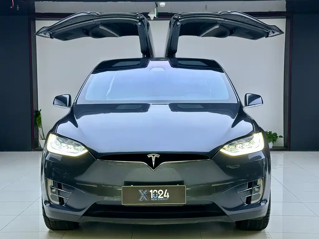Tesla Model X 2019