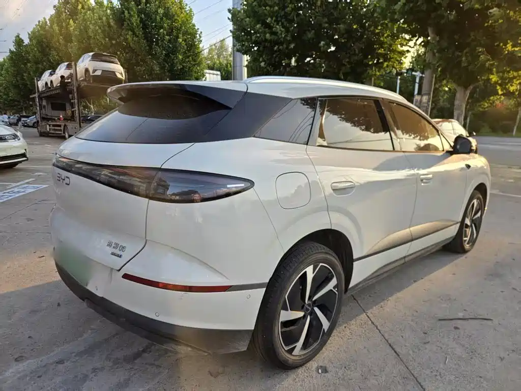 BYD Haisi 06 — миниатюра 8