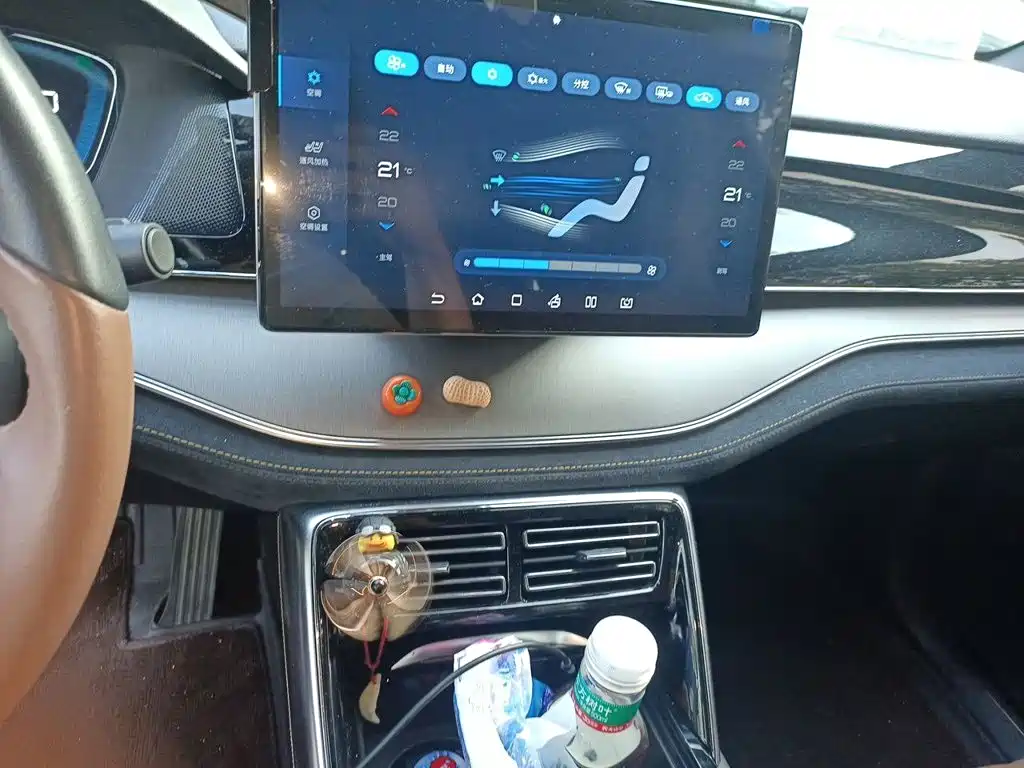 BYD Tang New Energy — миниатюра 6