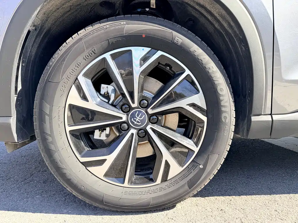 BYD SONGJIANG NEW ENERGY