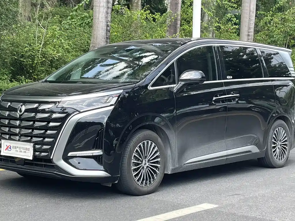 Denza Denza D9