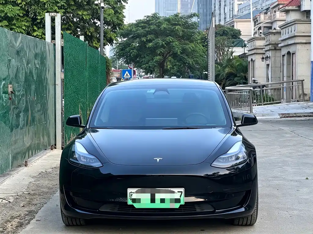 Tesla Model 3 — миниатюра 3