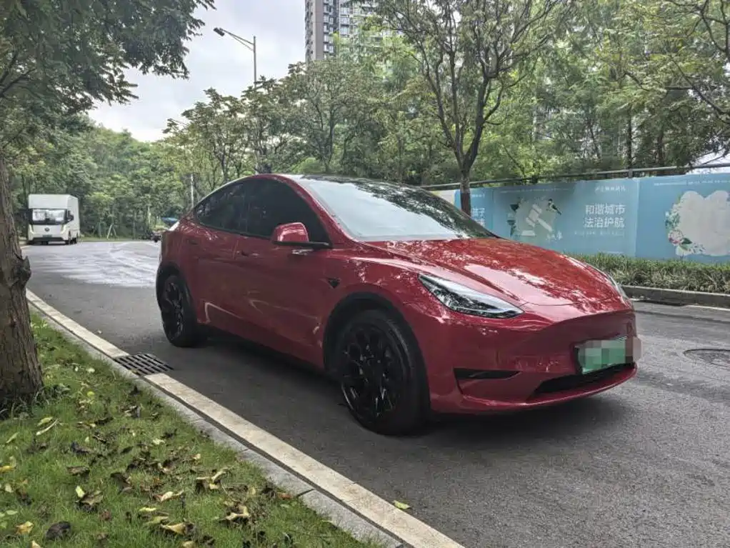 Tesla Model Y — миниатюра 3
