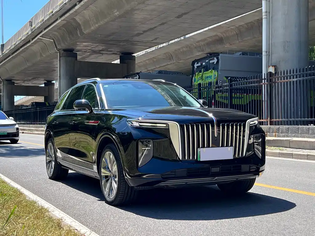 Hongqi Hongqi E-HS9 — миниатюра 3