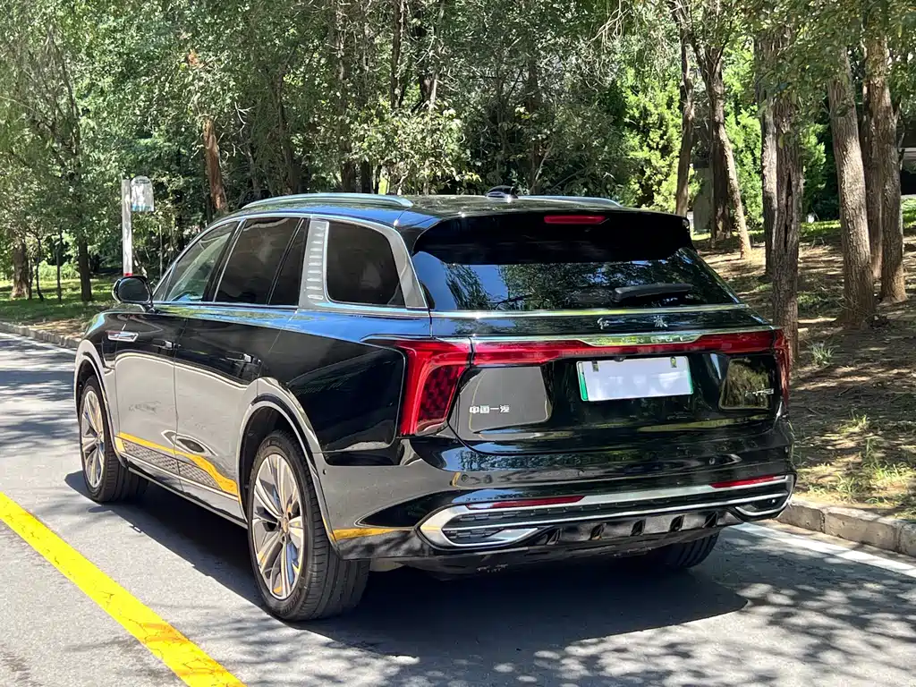 Hongqi Hongqi E-HS9 — миниатюра 13