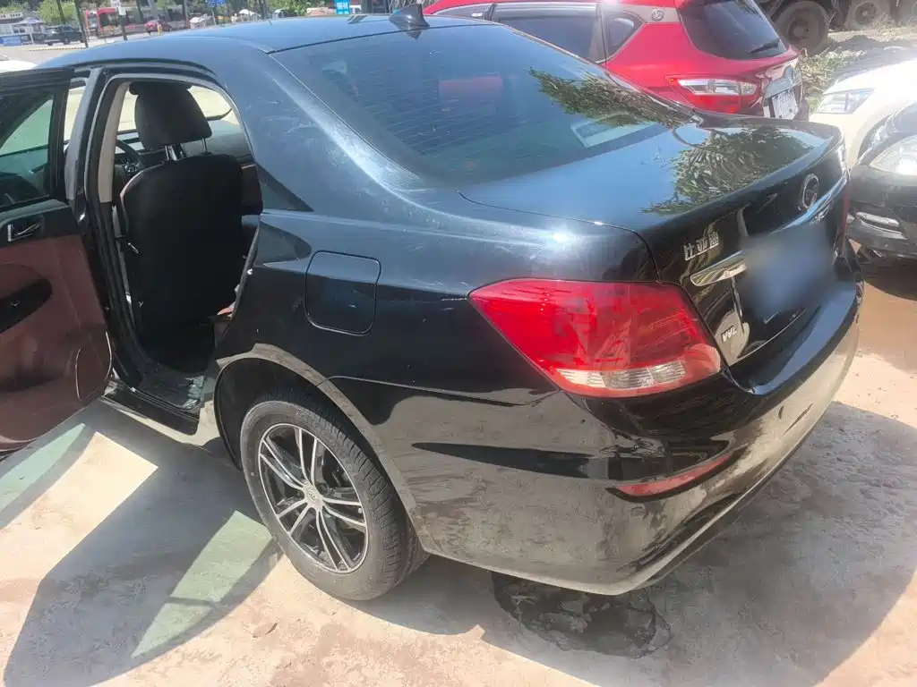 BYD Surui — миниатюра 11