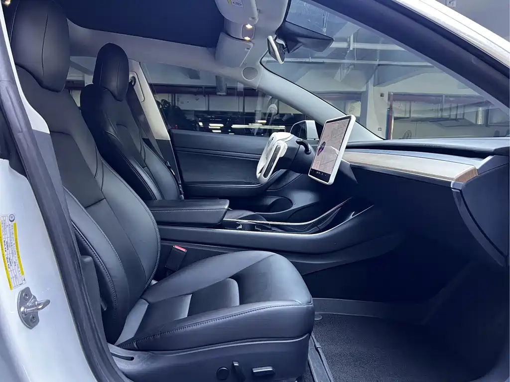 Tesla Model 3 — миниатюра 4