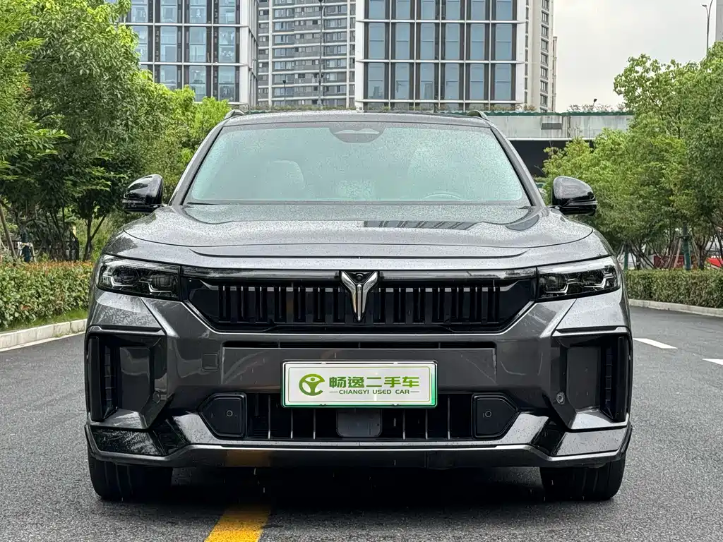 Voyah Free 2025 318 259km