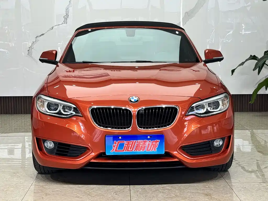 BMW 2 Series (Import) — миниатюра 2