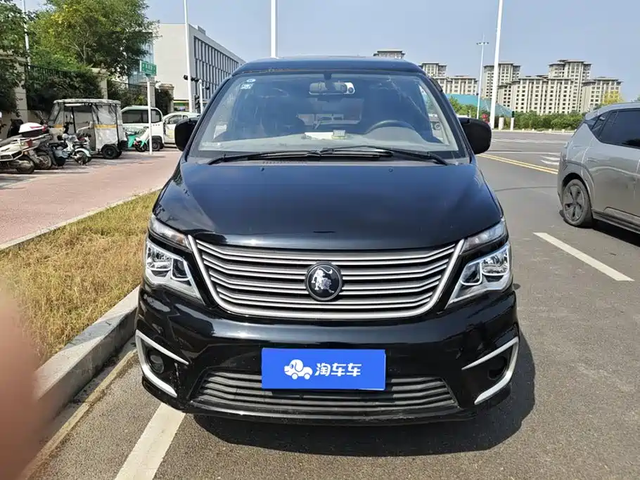 Fengxing Lingzhi — миниатюра 2