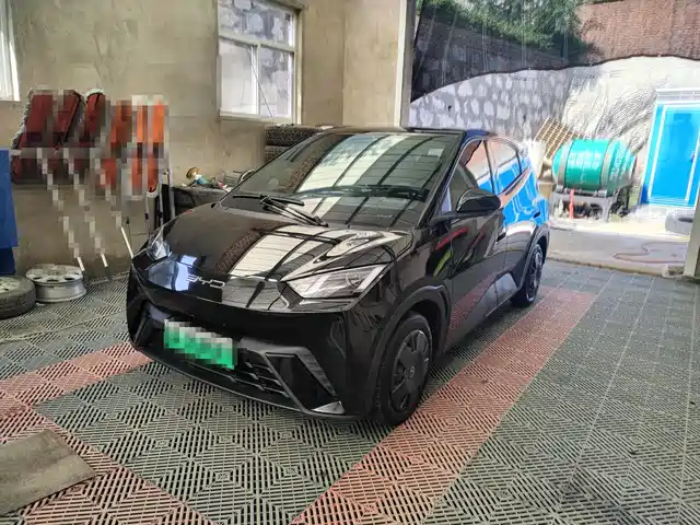 2024 BYD Seagull