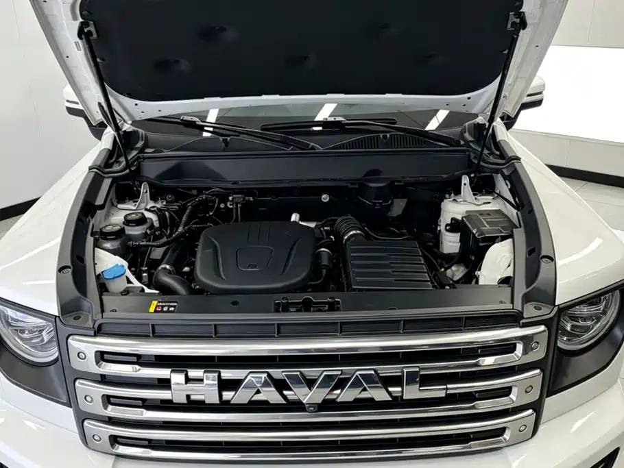 Haval Menglong New Energy — миниатюра 10