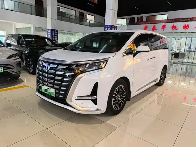 2023 Denza D9