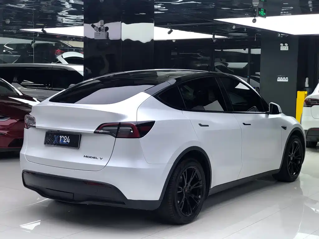 Tesla Model Y — миниатюра 7