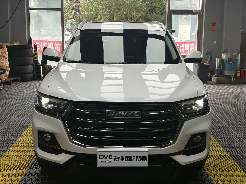 Haval H6 — миниатюра 2