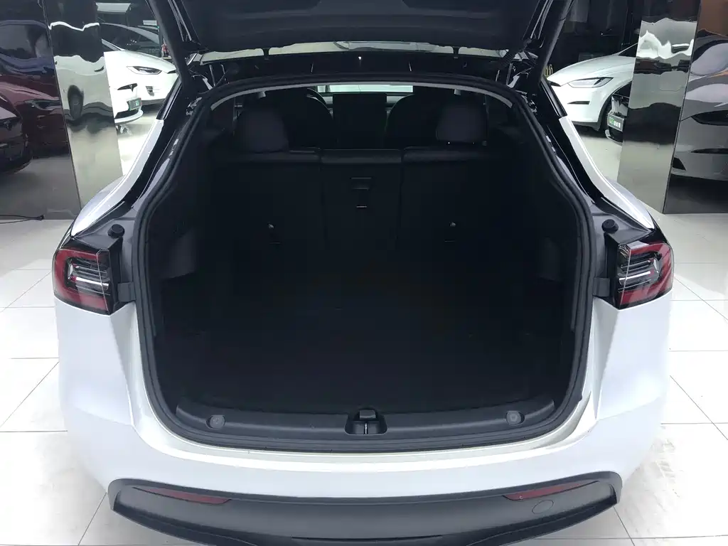 Tesla Model Y — миниатюра 13