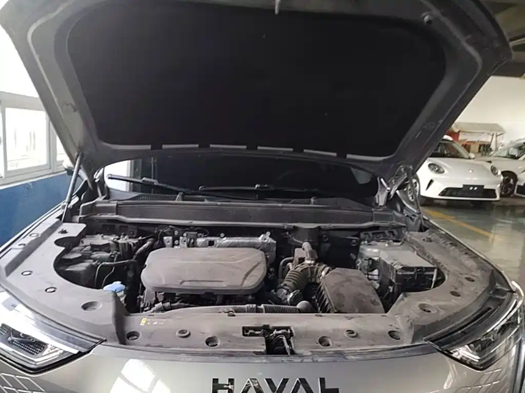Haval Xiaolong MAX — миниатюра 25