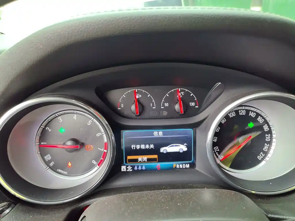 Buick Regal — миниатюра 7
