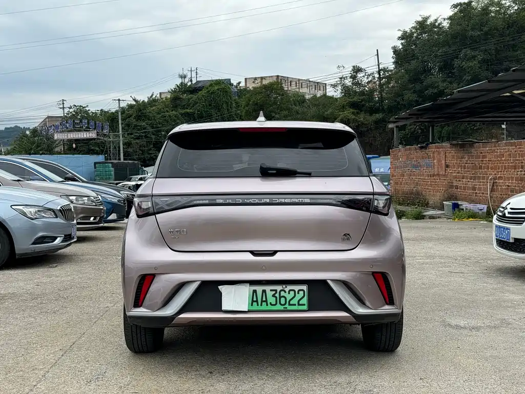 BYD Dolphin — миниатюра 10