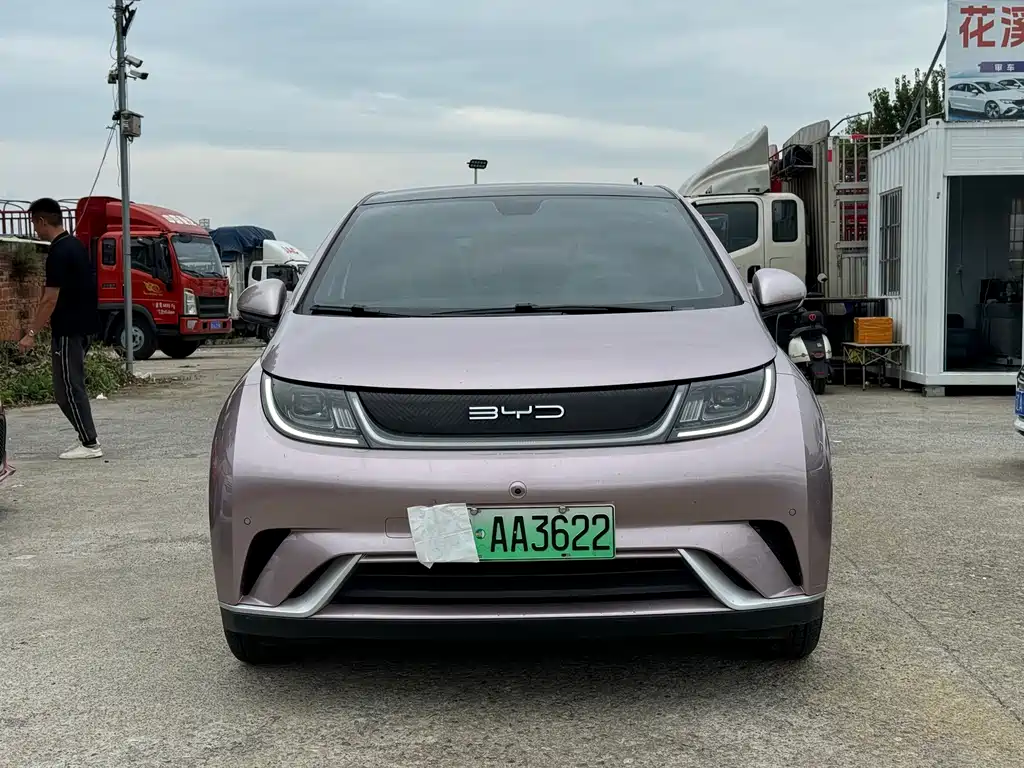 BYD Dolphin — миниатюра 2