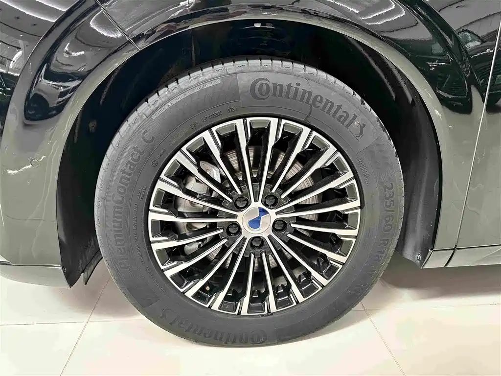 Denza Denza D9 — миниатюра 4
