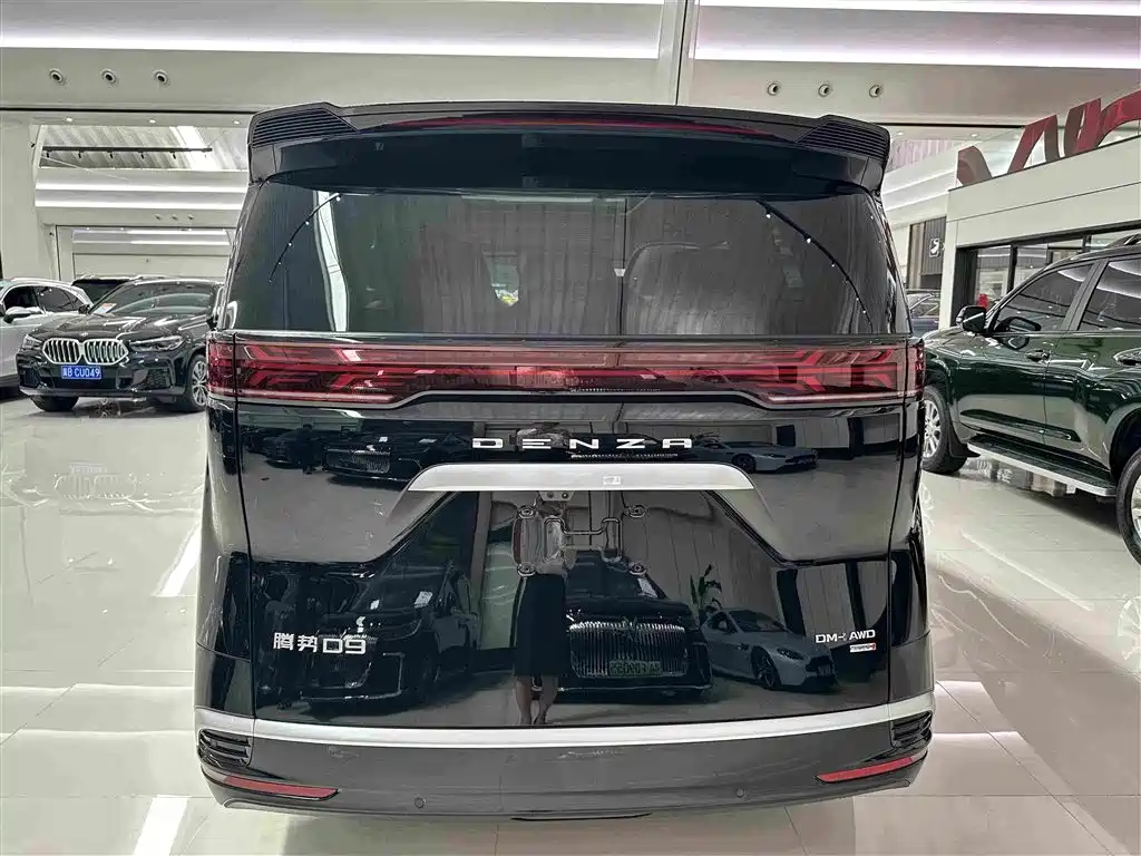 Denza Denza D9 — миниатюра 19