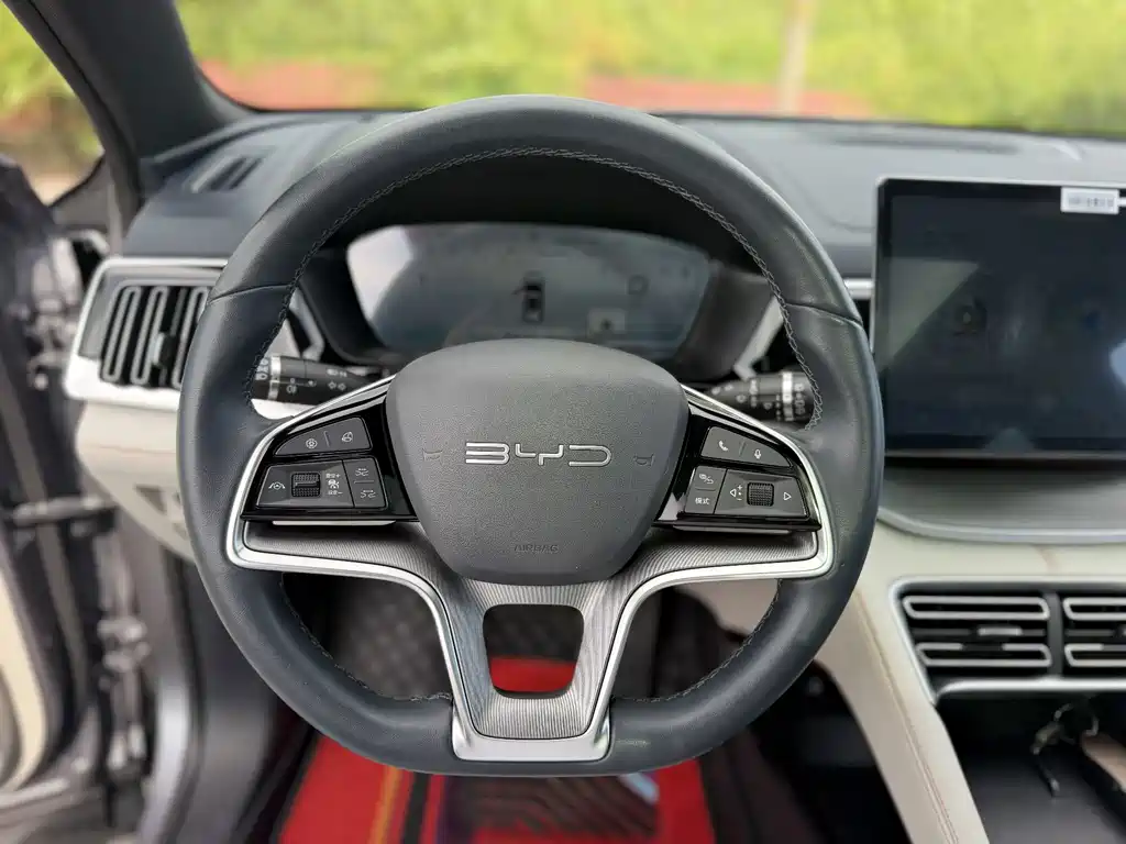BYD PLUS — миниатюра 24
