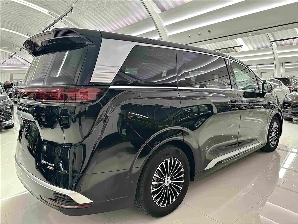 Denza Denza D9 — миниатюра 17