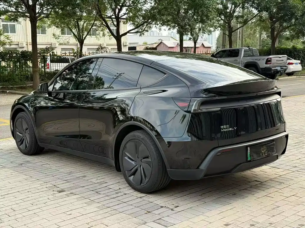 Tesla Model Y — миниатюра 5