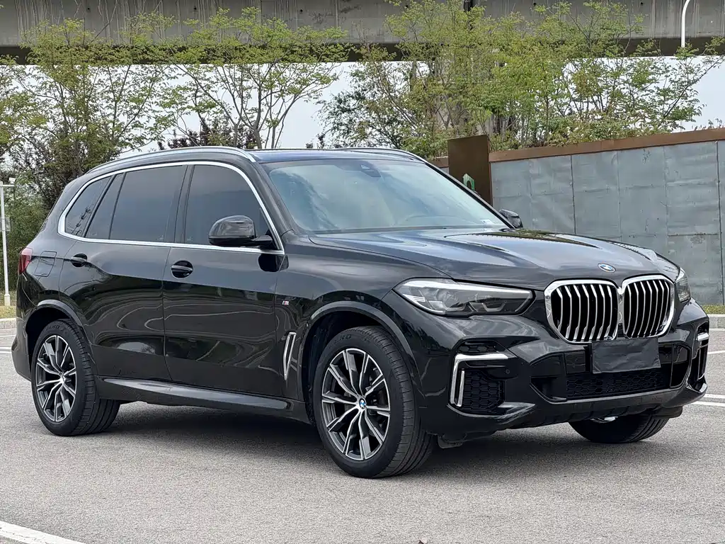 BMW X5 2022 xDrive 30Li M Sport