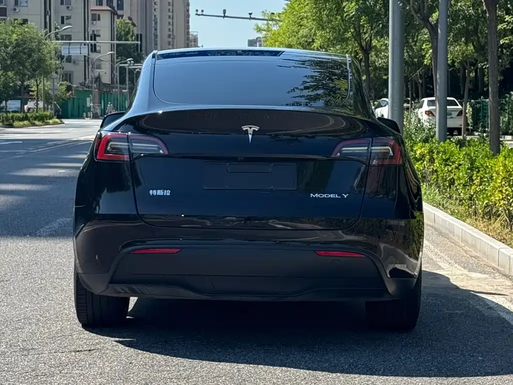 Tesla Model Y — миниатюра 5
