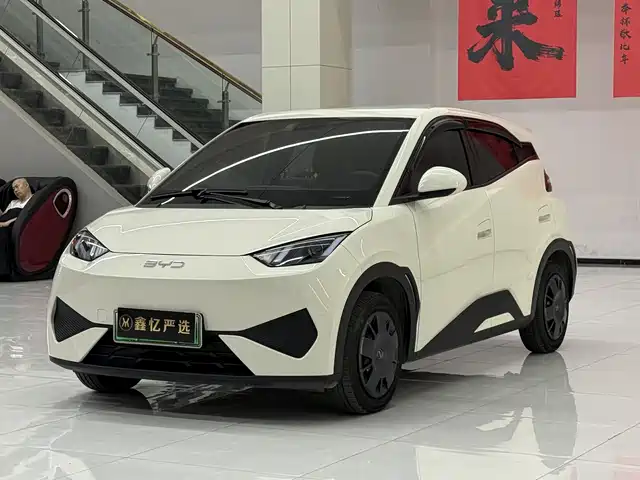 2025 BYD Seagull