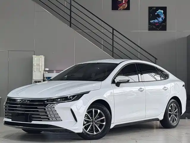 BYD DESTROYER 05 2023