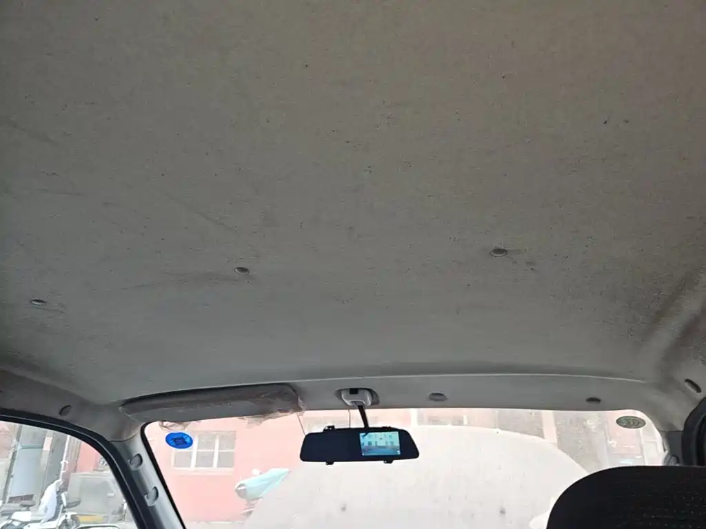 Foton Maverick E — миниатюра 9