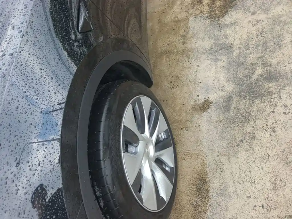 Tesla Model Y — миниатюра 23