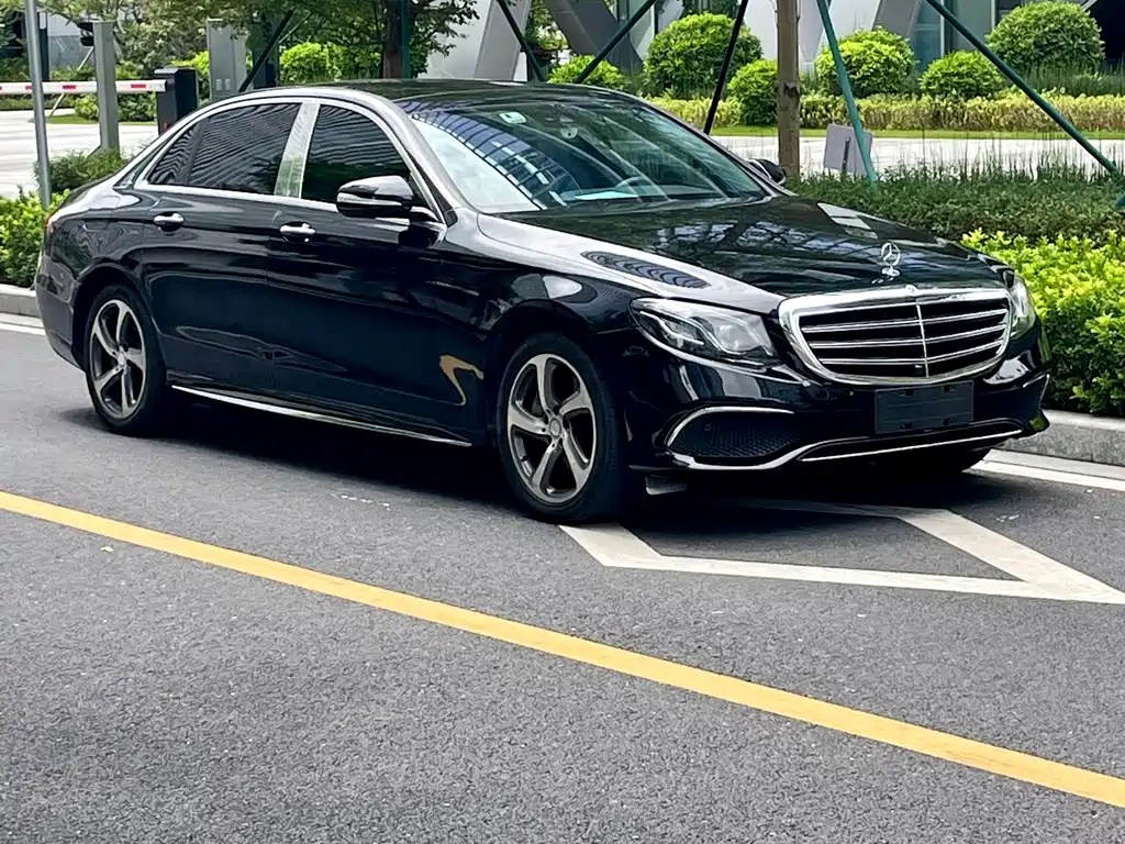 Mercedes-Benz E-Class E 300 L Luxury Type, фото 10
