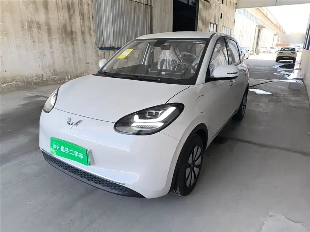 Wuling Binguo 2025 333km Enjoy