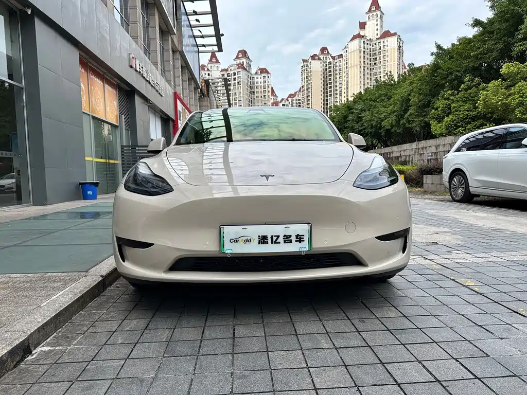 Tesla Model Y — миниатюра 2
