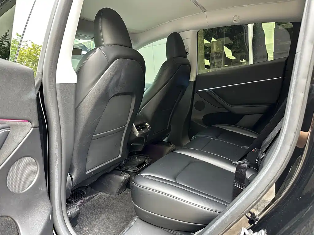 Tesla Model Y — миниатюра 5
