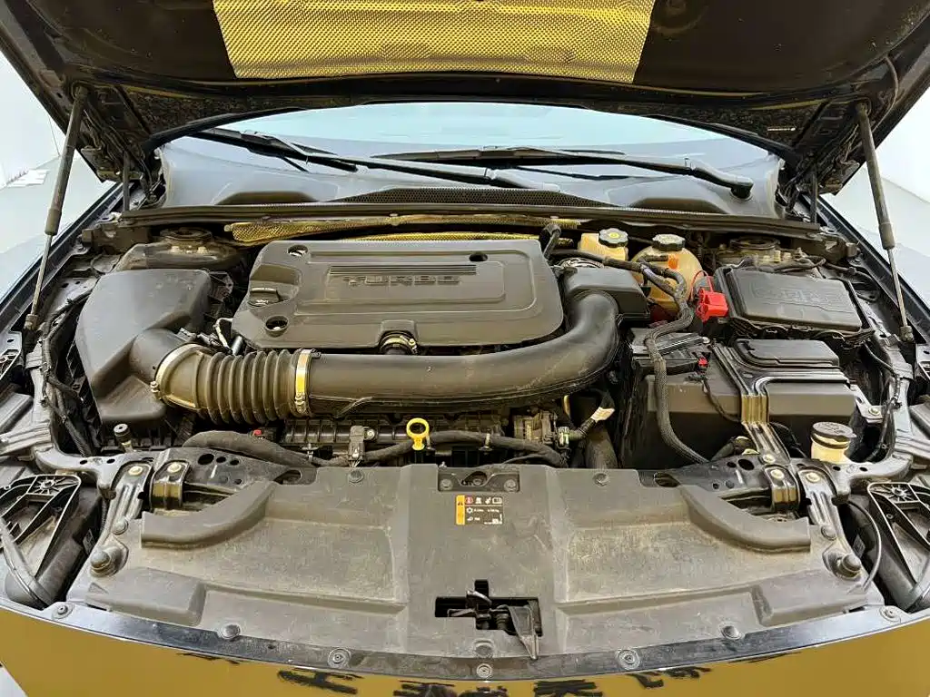 Buick Regal — миниатюра 11