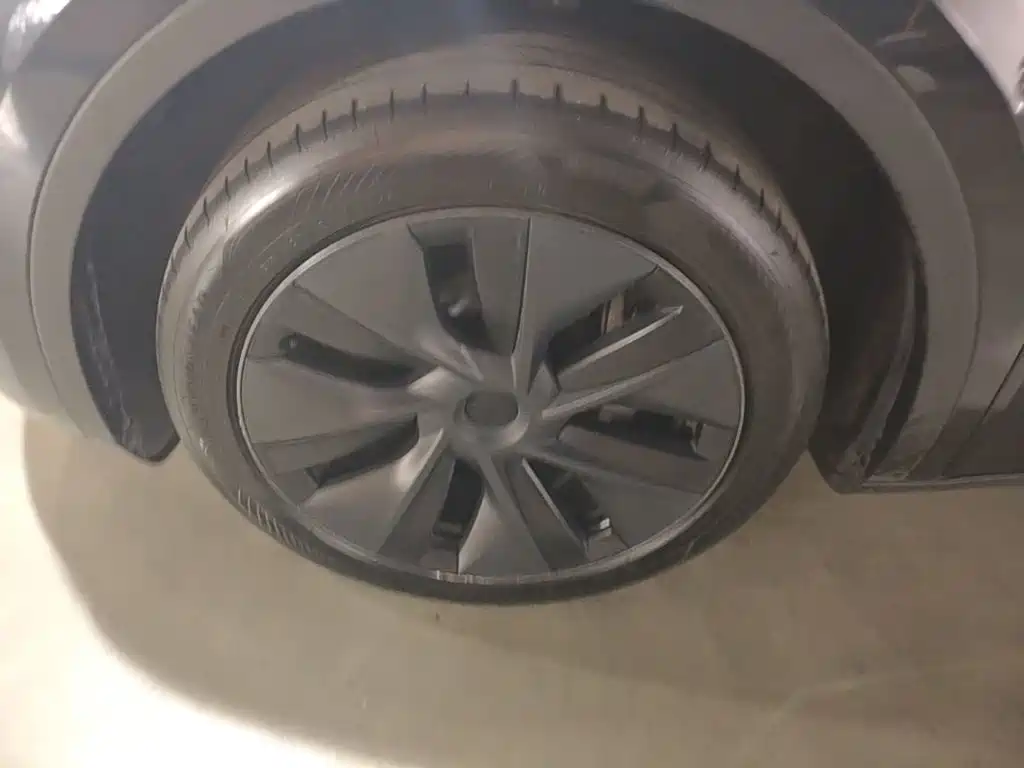 Tesla Model Y — миниатюра 23