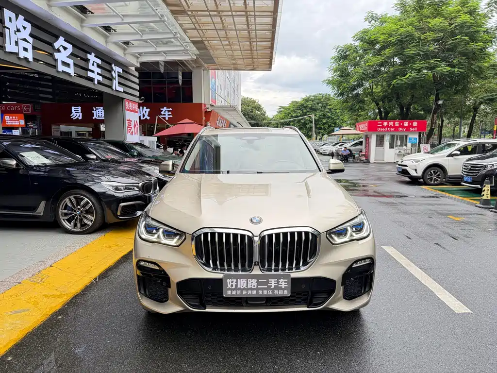 BMW X5 (Import) — миниатюра 2