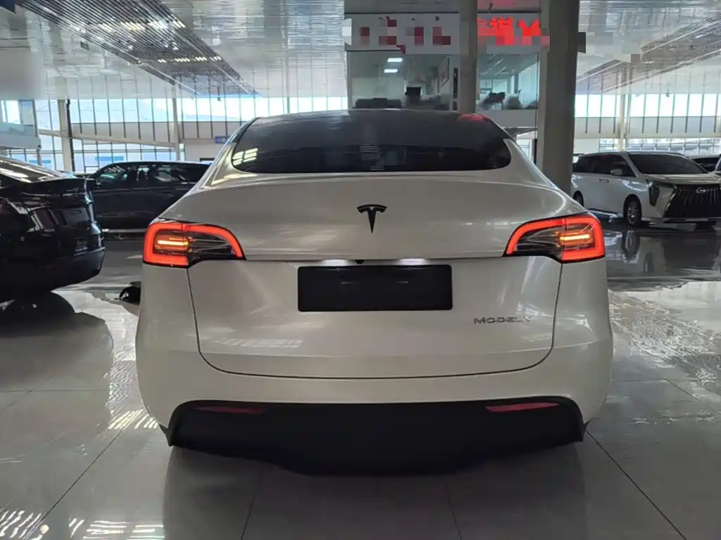 Tesla Model Y — миниатюра 6
