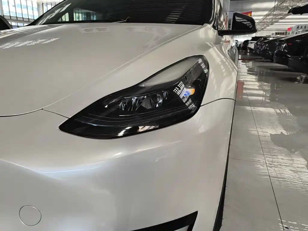Tesla Model Y — миниатюра 24