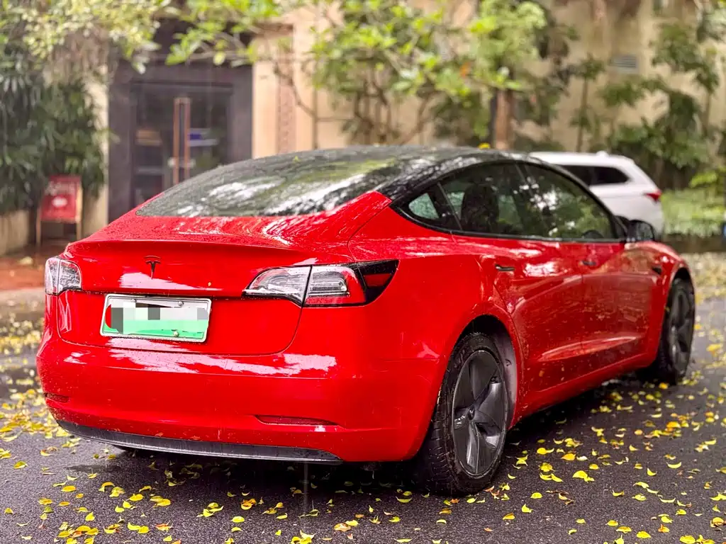 Tesla Model 3 — миниатюра 14