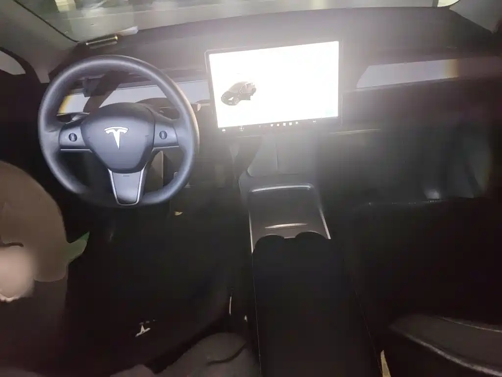 Tesla Model Y — миниатюра 10