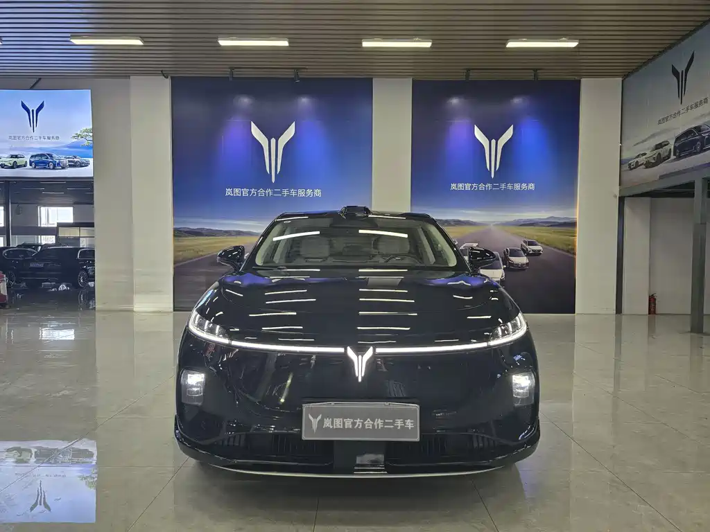 VOYAH Zhiyin — миниатюра 2
