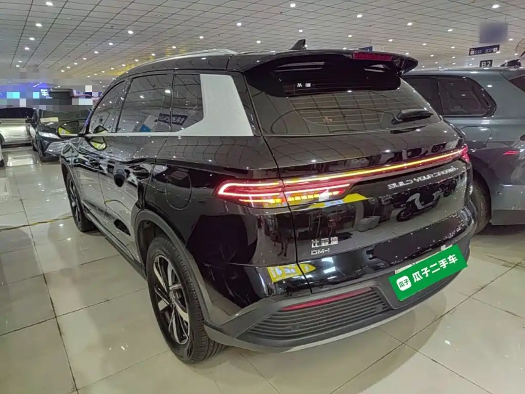 BYD Pro New Energy — миниатюра 5