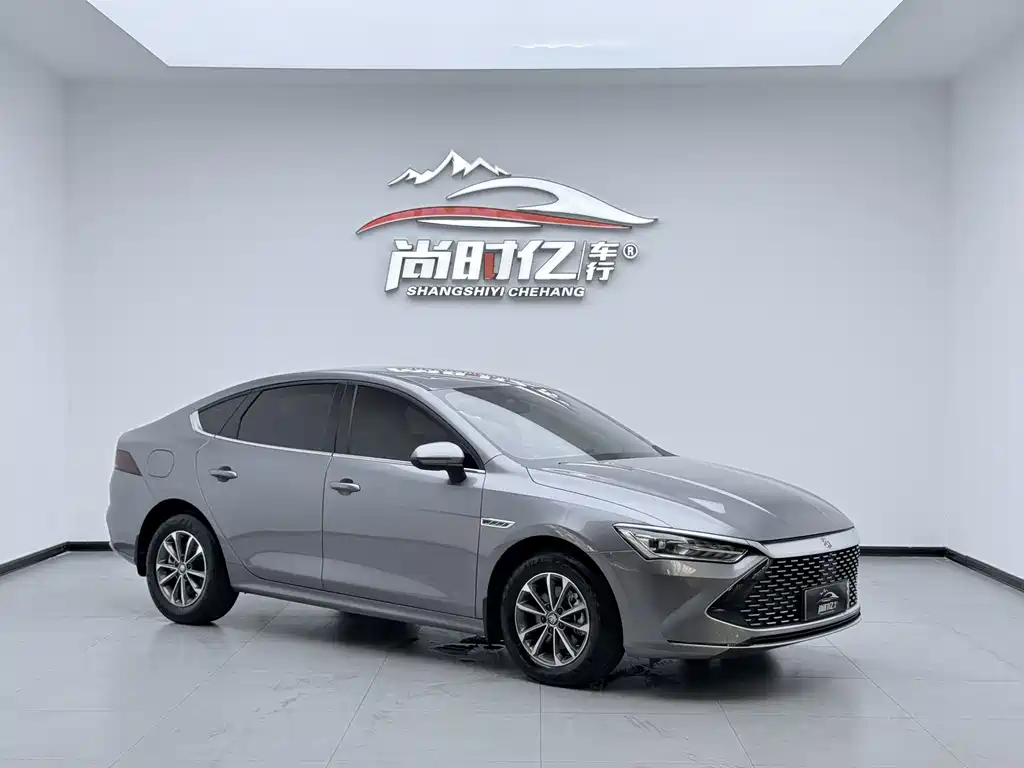 BYD Qin Plus PLUS 2024 DM-i 55KM Lead