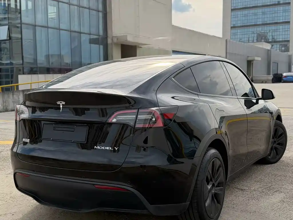 Tesla Model Y — миниатюра 3